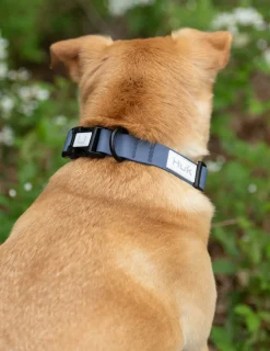 Huk Gear Hard Goods|Hard Goods-Waterproof Dog Collar Naval Academy