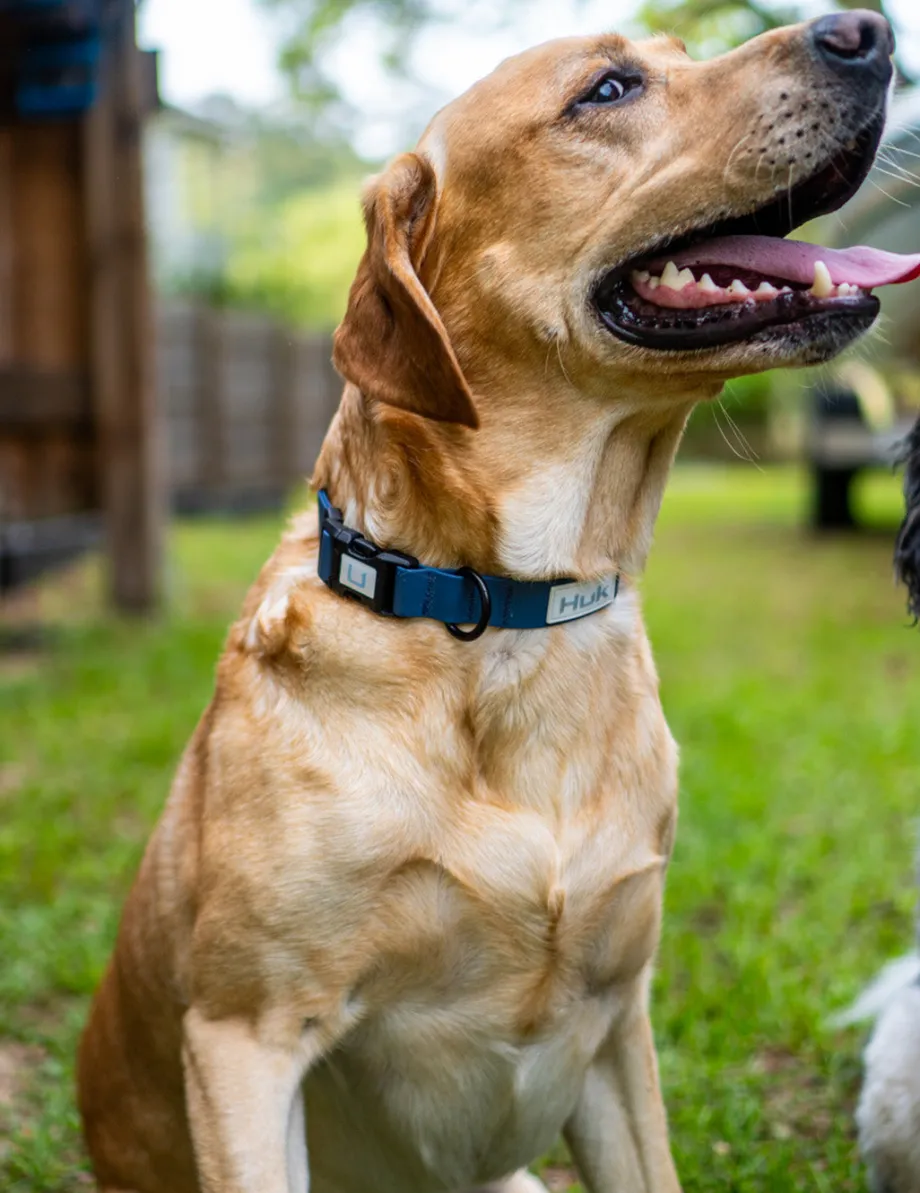 Huk Gear Hard Goods|Hard Goods-Waterproof Dog Collar Naval Academy