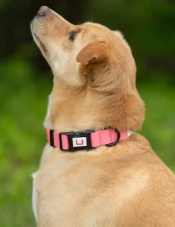 Huk Gear Hard Goods|Hard Goods-Waterproof Dog Collar Moonlite Mauve