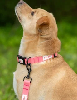 Huk Gear Hard Goods|Hard Goods-Waterproof Dog Leash Moonlite Mauve