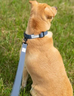 Huk Gear Hard Goods|Hard Goods-Waterproof Dog Leash Naval Academy