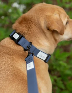 Huk Gear Hard Goods|Hard Goods-Waterproof Dog Leash Naval Academy